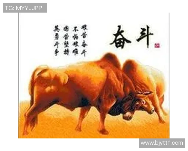 中国足球传奇傅欢：十年风雨历程与荣耀背后的奋斗精神